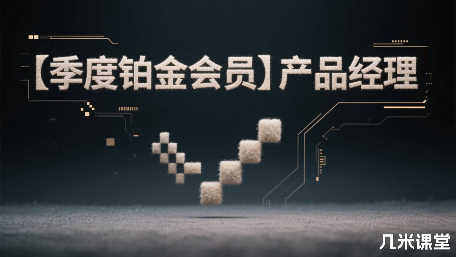 【季度铂金会员】产品经理