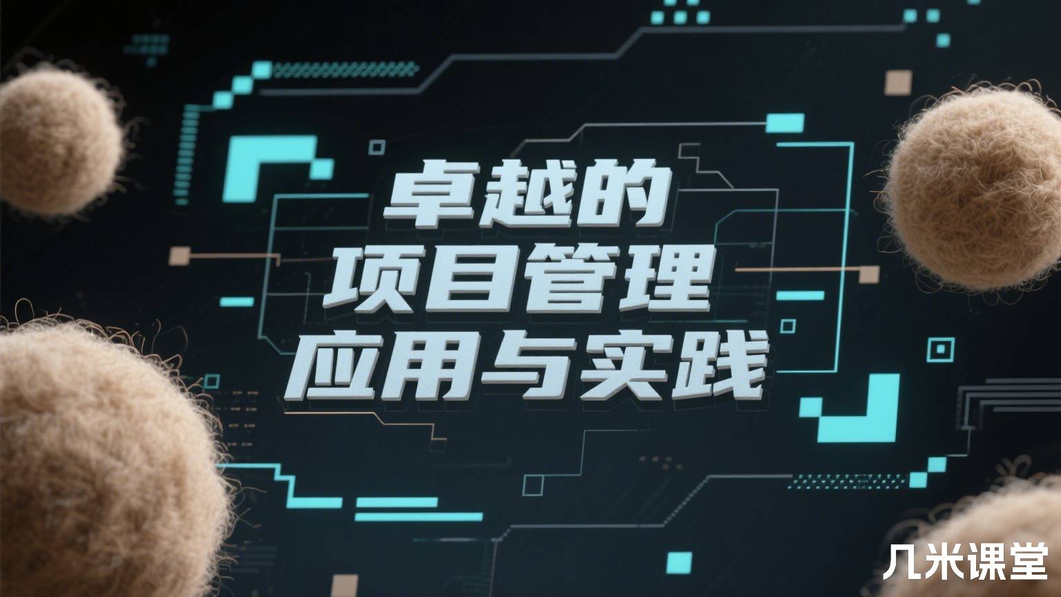 卓越的项目管理应用与实践