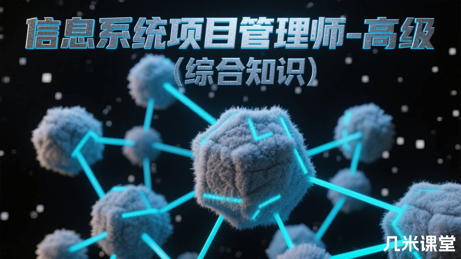 信息系统项目管理师-高级(综合知识)