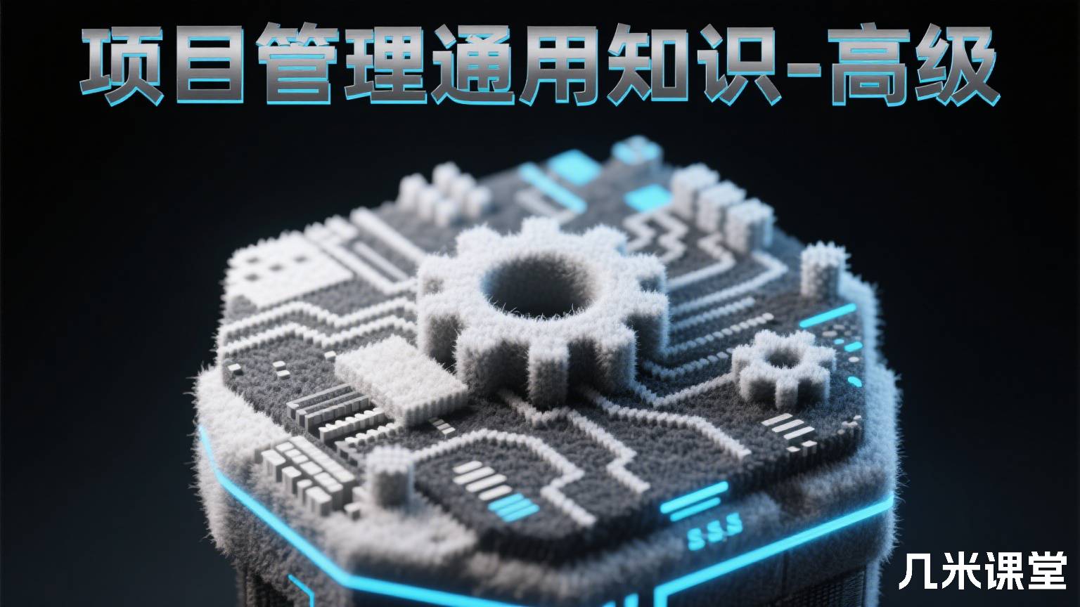 项目管理通用知识-高级