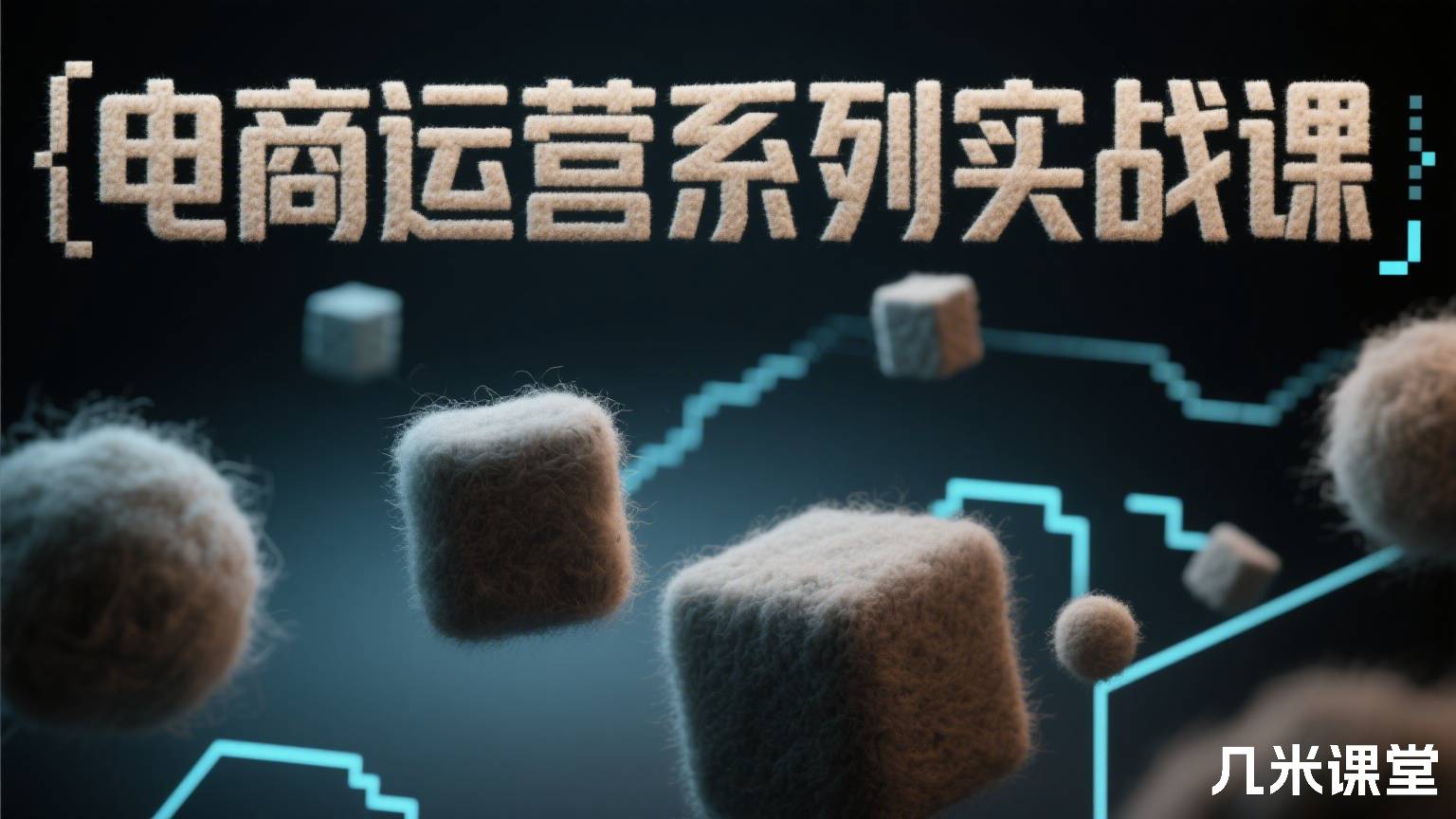 电商运营系列实战课