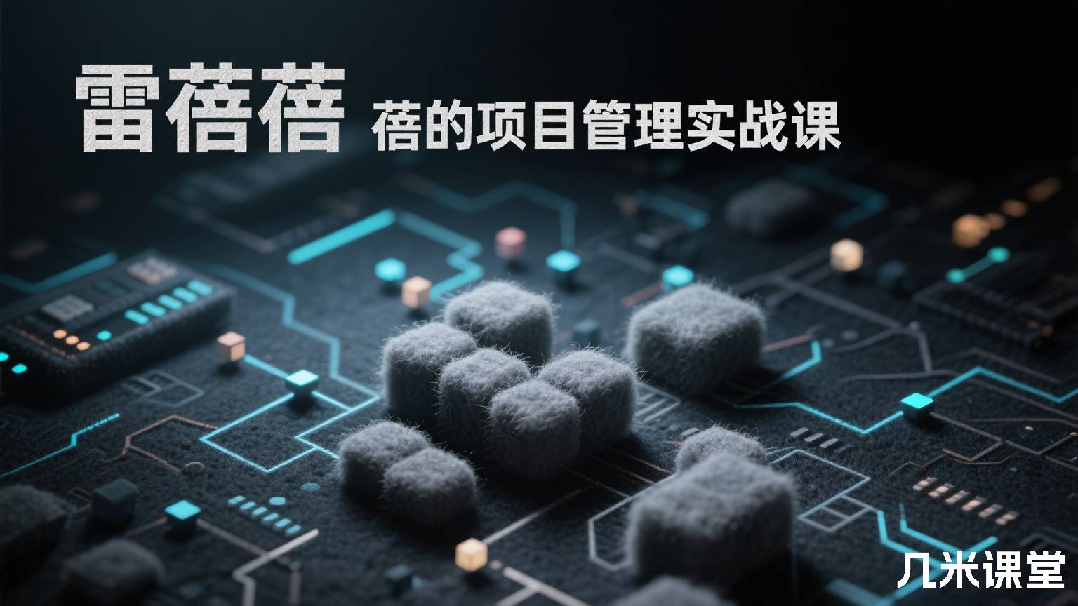雷蓓蓓的项目管理实战课