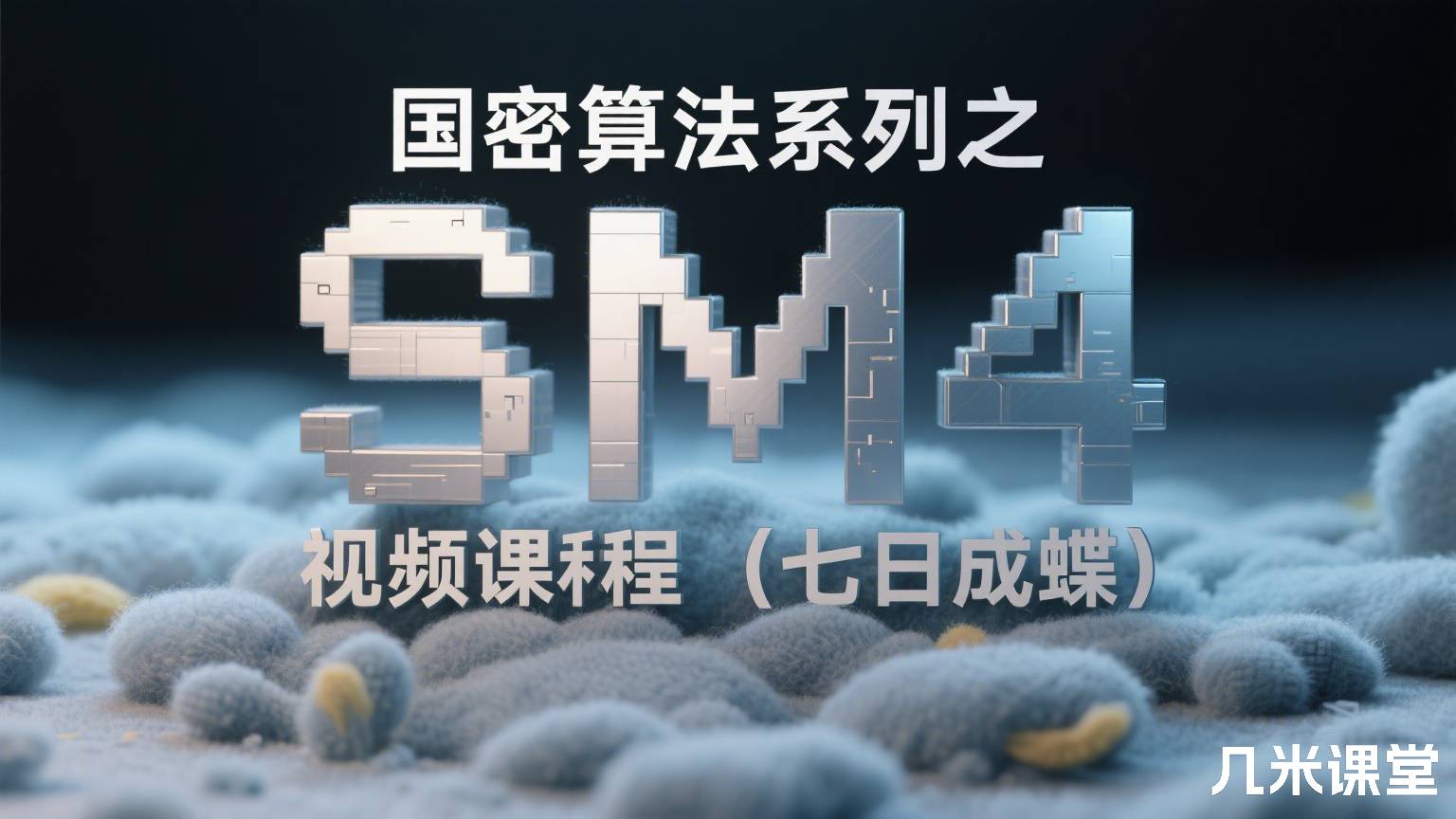 国密算法系列之SM4视频课程(七日成蝶)