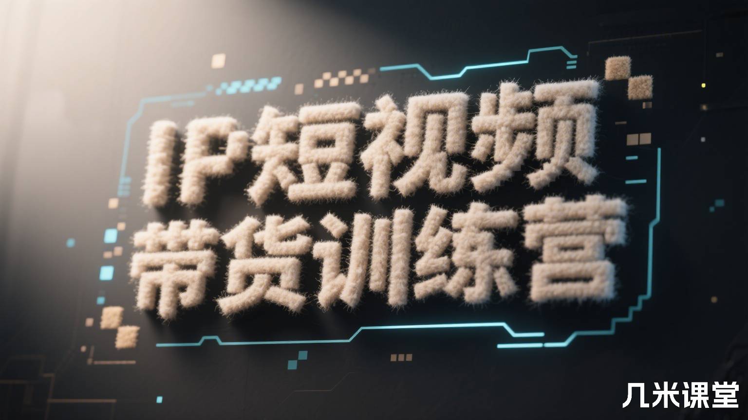 IP短视频带货训练营
