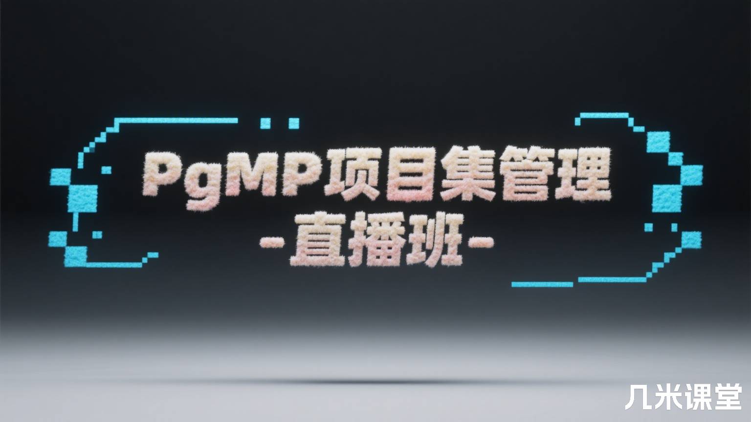PgMP项目集管理-直播班
