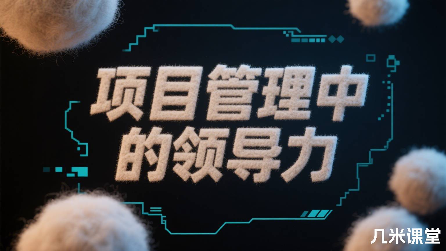 项目管理中的领导力