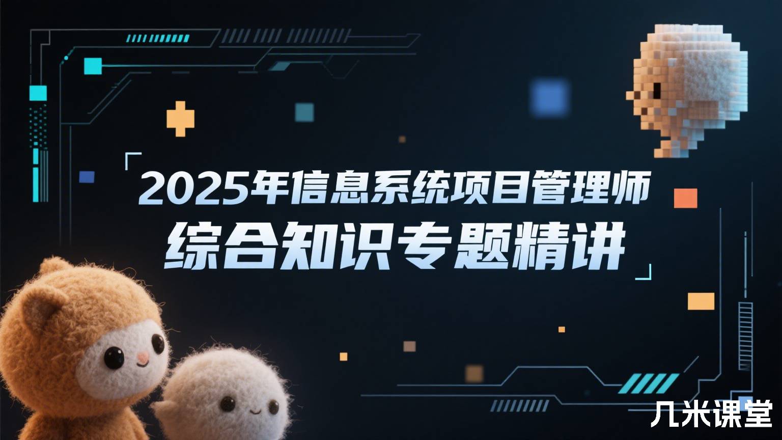 2025年信息系统项目管理师综合知识专题精讲