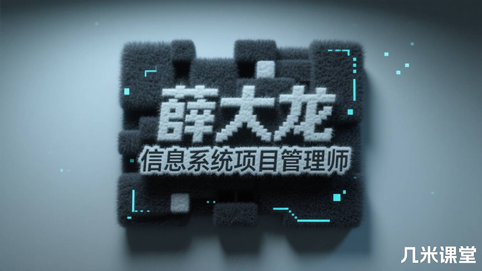 薛大龙信息系统项目管理师