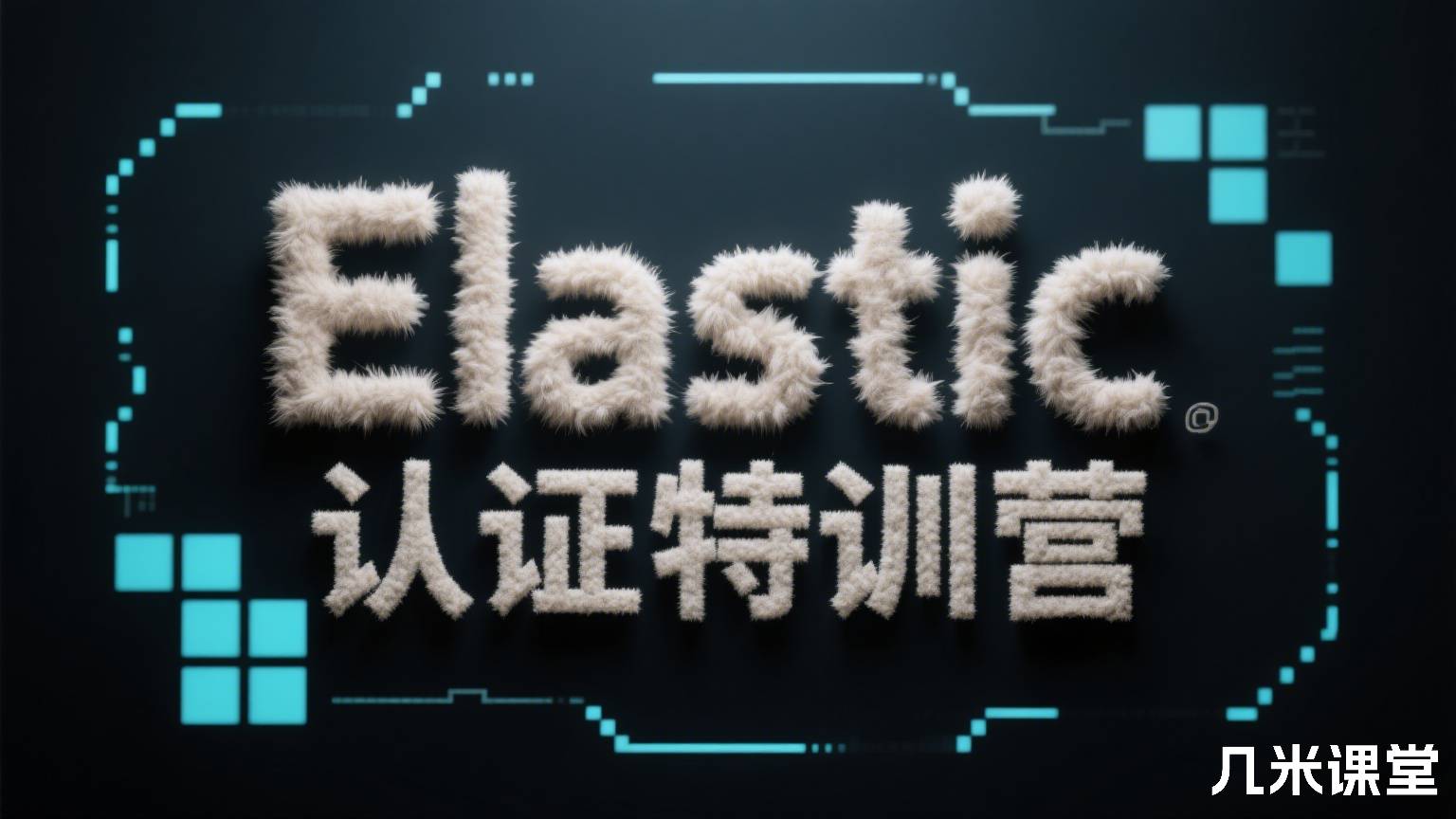 Elastic认证特训营