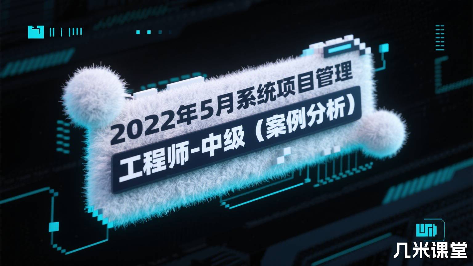 2022年5月系统项目管理工程师-中级(案例分析)