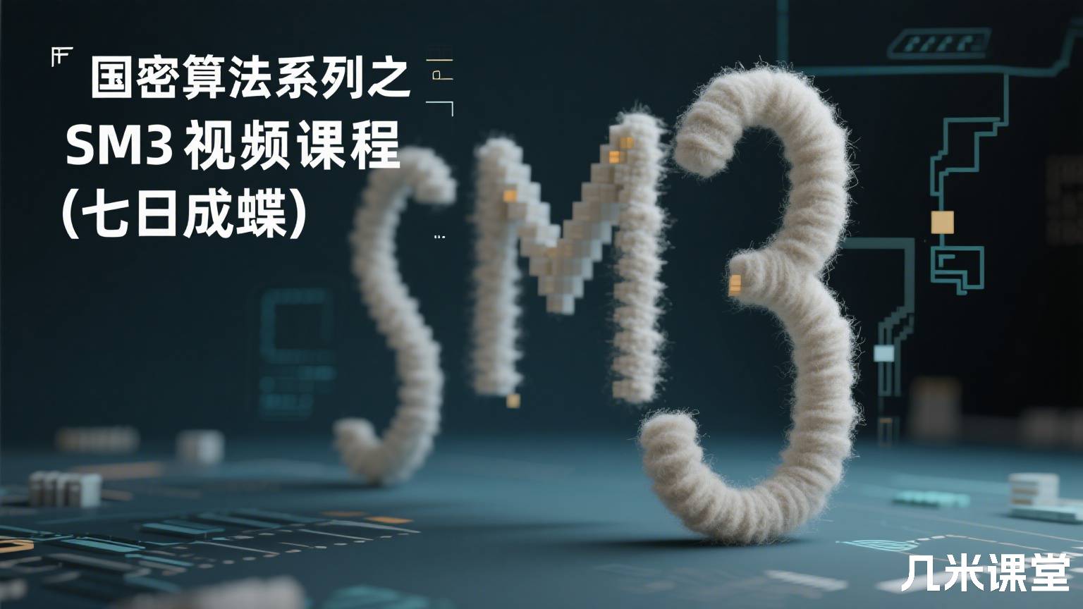 国密算法系列之SM3视频课程(七日成蝶)