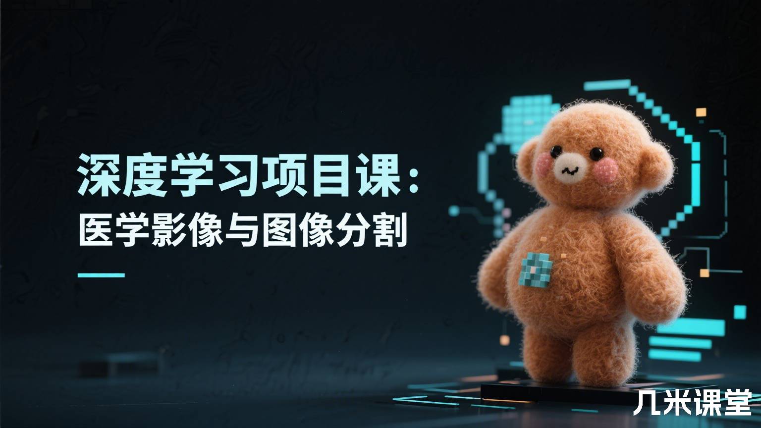 深度学习项目课:医学影像与图像分割