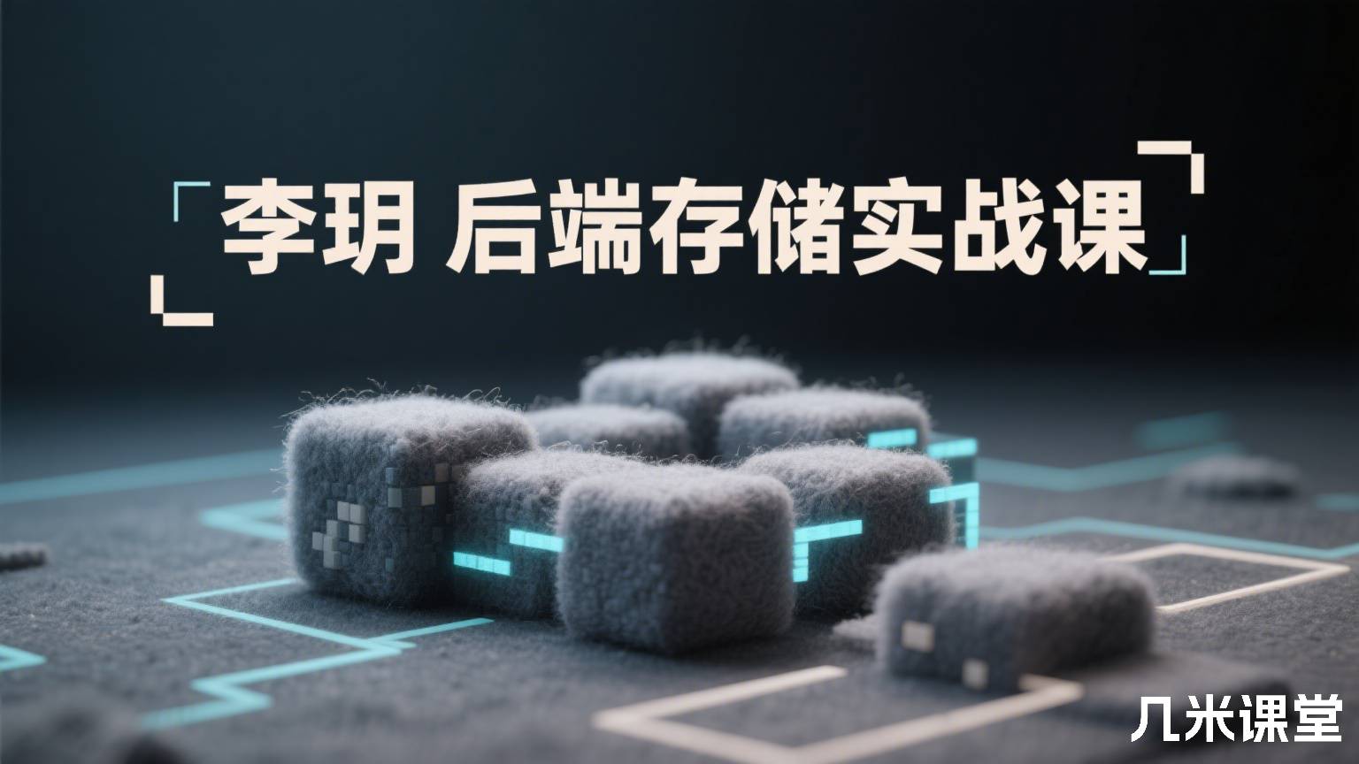 后端存储实战课