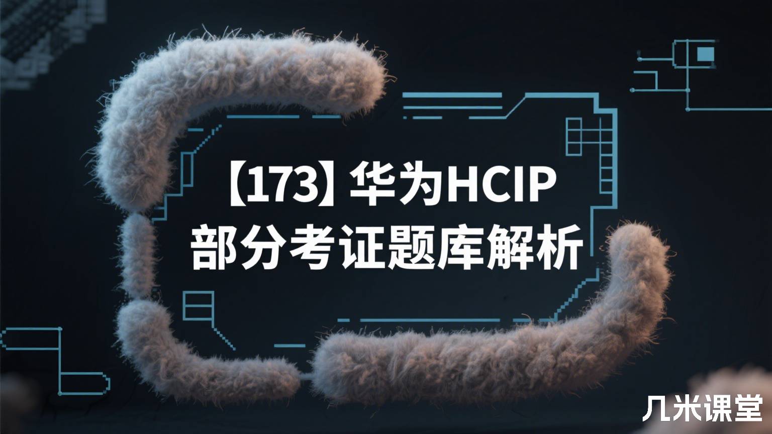【173】华为HCIP 部分考证题库解析