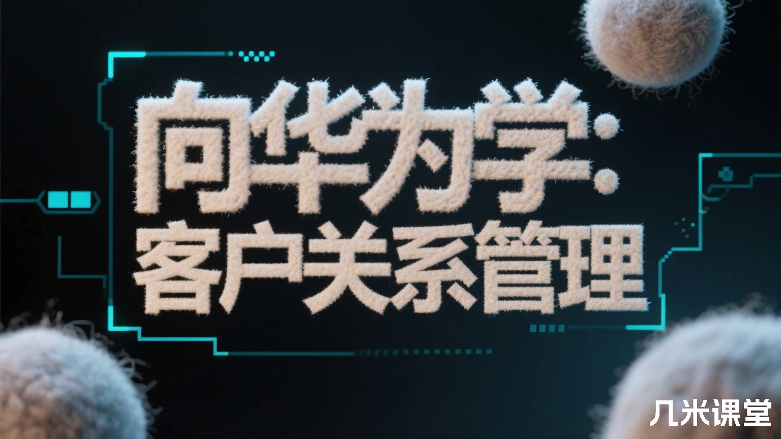 向华为学:客户关系管理