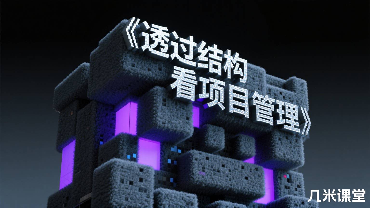 《透过结构看项目管理》