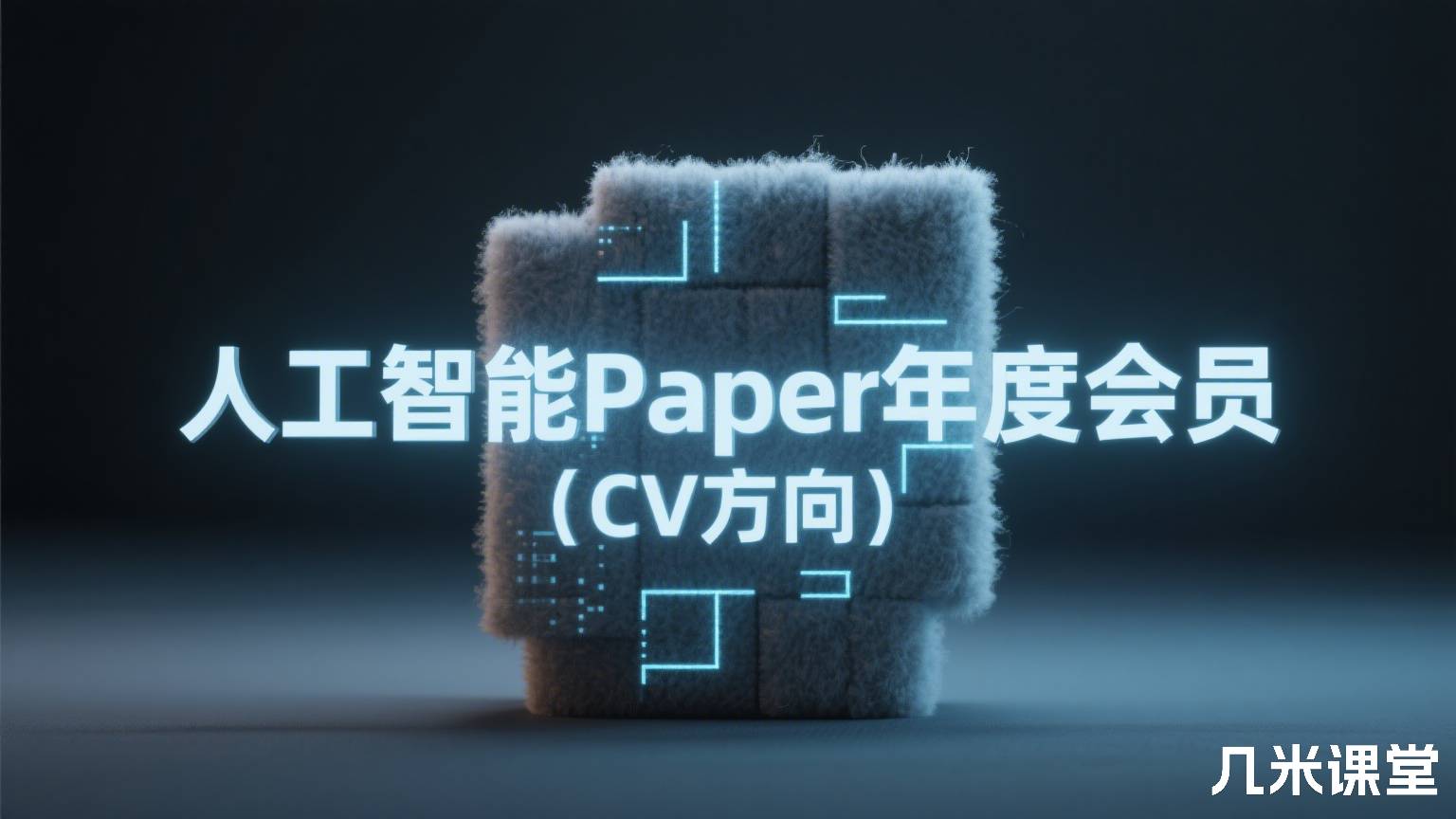 人工智能Paper年度会员(CV方向)