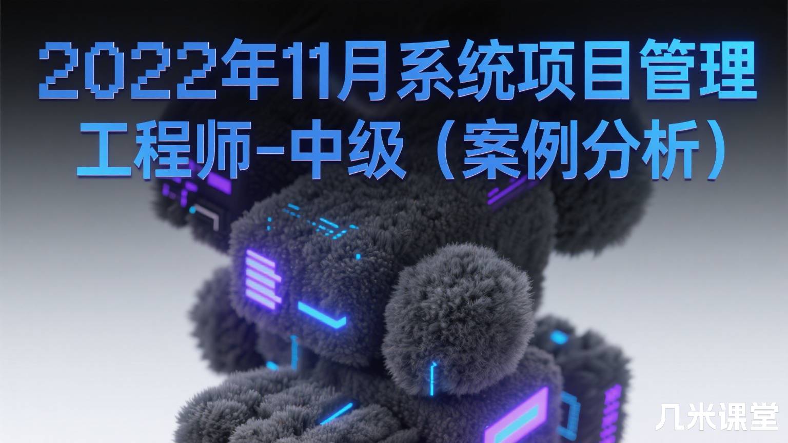 2022年11月系统项目管理工程师-中级(案例分析)