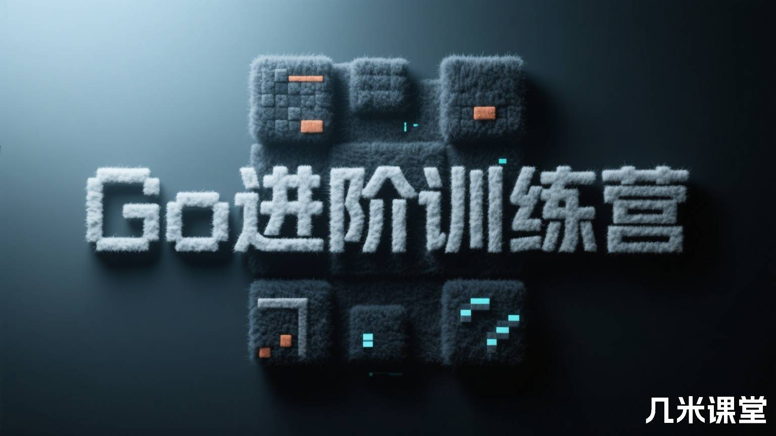 Go进阶训练营 新版