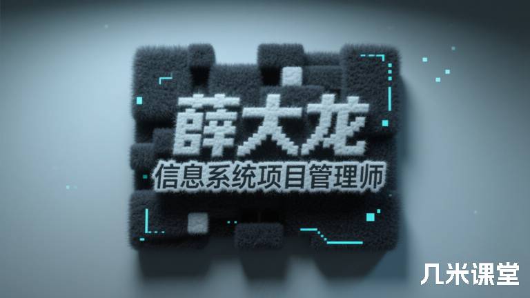 薛大龙信息系统项目管理师